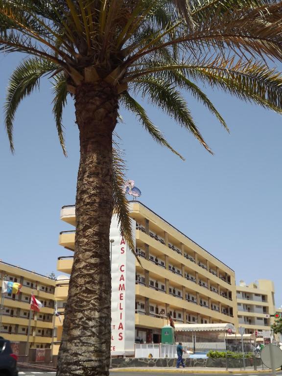 Apartamentos Las Camelias Playa del Ingles  Ngoại thất bức ảnh