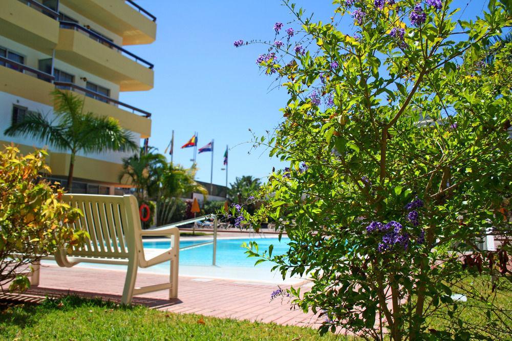 Apartamentos Las Camelias Playa del Ingles  Ngoại thất bức ảnh
