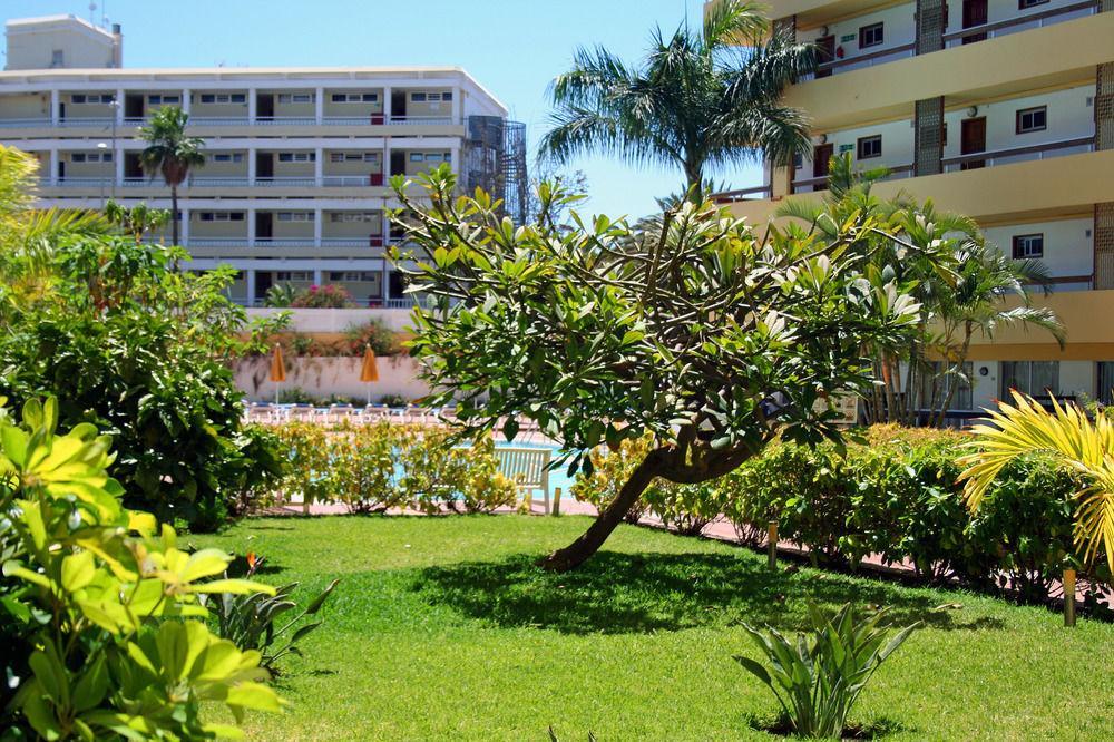 Apartamentos Las Camelias Playa del Ingles  Ngoại thất bức ảnh